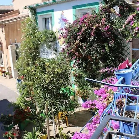 Le Petit Balinais - Standing - Wifi